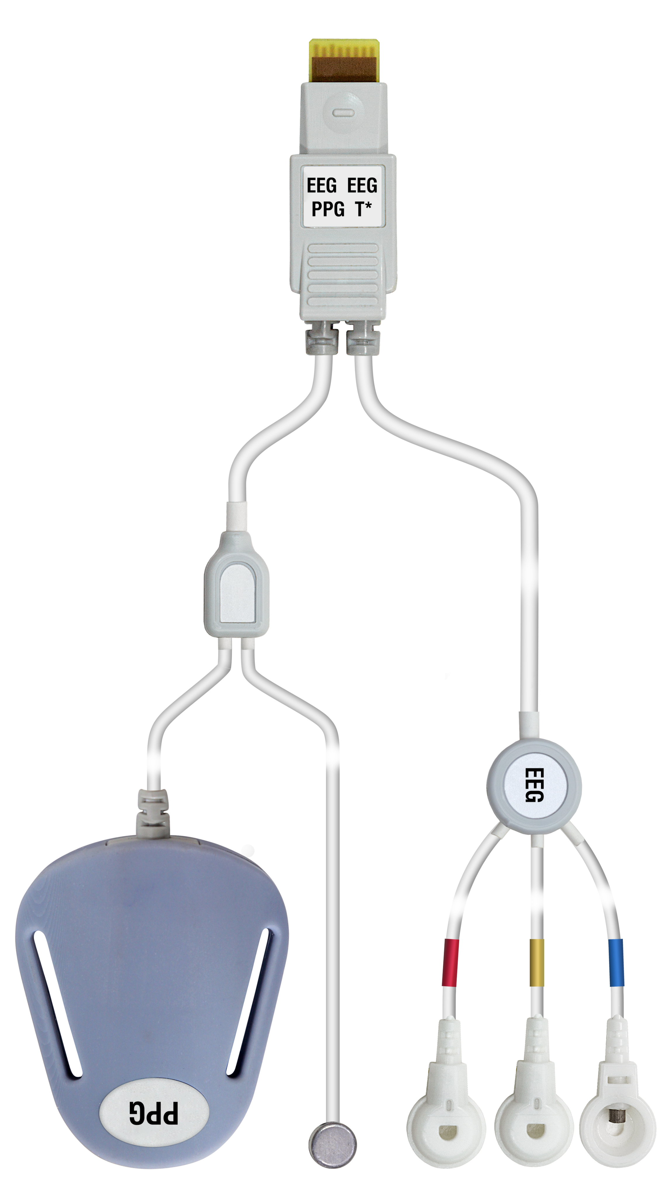 A_5577-4. EEG/EEG+PPG*+Т* Sensor (Micro-8M)